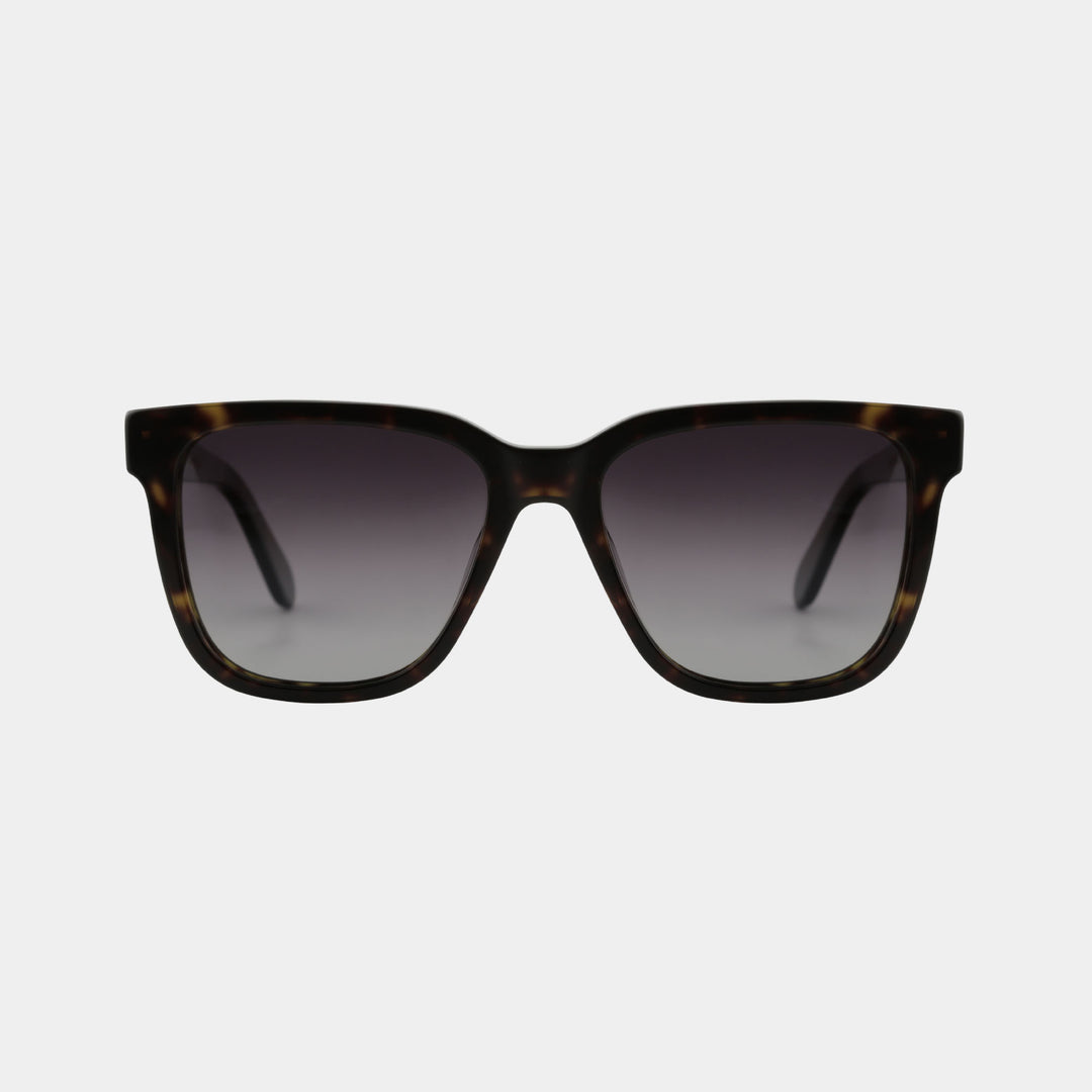 Serique Sunglass
