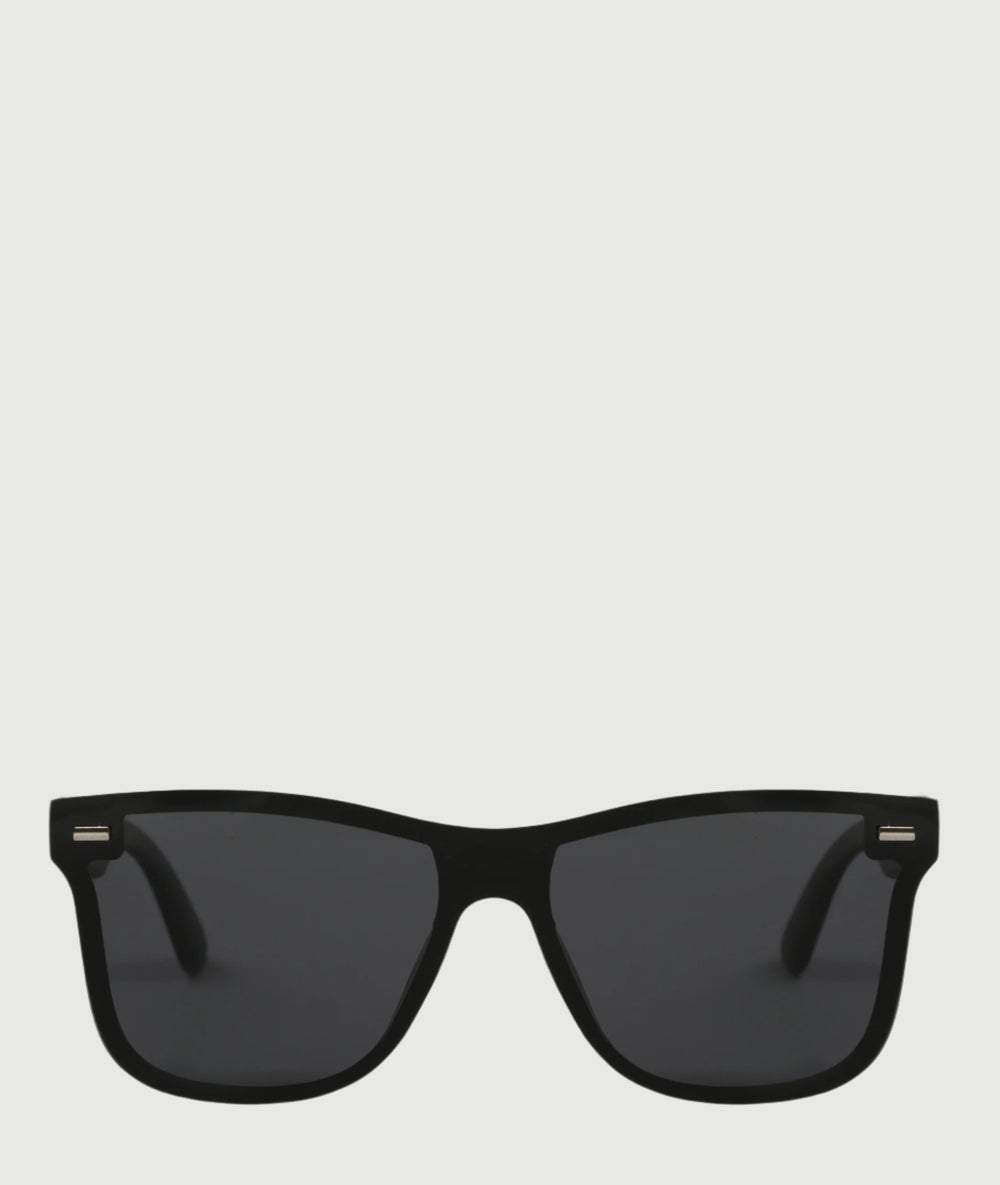 Men's classic wayfarer sunglasses